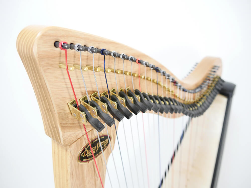 アイリッシュハープ弦 2個セット ストーニーエンド社 ロレイン - 弦楽器